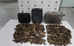 寄艙行李藏近42公斤沉香木 2名印尼抵港男子機場被捕