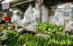 颱風小犬 ‧ 街市直擊｜未見市民「搶糧」蔬菜貨源足  街坊 : 颱風很快就過