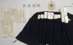男旅客涉走私22公斤象牙製品 被判囚2月
