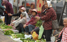 東張西望｜葵涌天光墟黑心攤檔疑售過期刺身壽司 食環署：最高罰5萬 監禁6個月