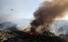 希腊山火引爆空军弹药库 附近基地F16战机急撤防波及
