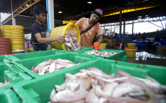 泰国海鲜市场爆疫 增548宗确诊创单日新高