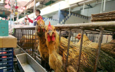 乌克兰顿涅茨克州爆H5N8禽流感  港停止进口禽类产品