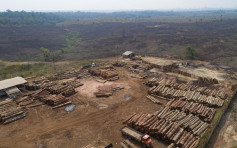 巴西研究指當地伐林量增22% 創下15年來新高