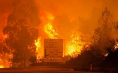 葡萄牙山火增至62人死　全國哀悼3日