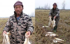 江西南昌养鸭户遭投毒 4700只鸭子全死损10万元