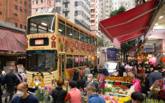 電車夥「天下貓貓」群打造賀年花車 推「福貓」貼圖助拜年