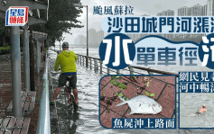 颱風蘇拉‧沙田︱城門河漲潮水淹單車徑  老翁河中暢泳