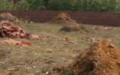 湛江村地一夜间出现36座无名新坟 挖开发现有人造假占地