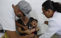 巴西爆数十年最大黄热疫情 846人确诊