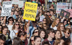 爱尔兰5月底就放宽堕胎限制举行公投