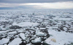 北極地區遭「微塑膠」污染 研究：或與清洗合成纖維衣物有關