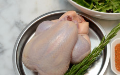 本港暫停進口法國旺代省禽肉及禽類產品