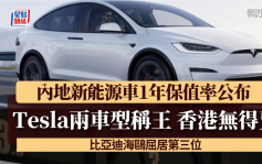 內地2024年新能源車1年保值率揭盅│Tesla Model X及S囊括冠亞軍 比亞迪海鷗屈居第三