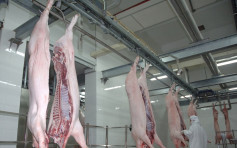 食安中心指越南肉廠曾僞造衛生證明書出口冰鮮豬肉來港