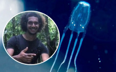 17歲青年遭箱形水母襲擊後身亡 澳洲15年來首宗