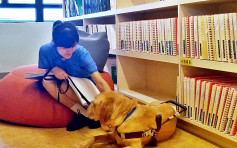 【DSE放榜】英華視障考生獲城大副學士取錄 視導盲犬Bene為紓壓良伴