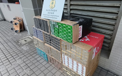 私烟贩扮主妇拖「买餸车」分销 海关拘46岁清洁工 检逾百万元货