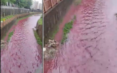 深圳驚現超美「粉紅河」惹工業污染疑雲  官方澄清解釋