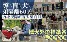 每日杂志｜导盲犬须隔离60天 内地视障旅客失望折返 携犬外游标准各异 规条复杂宜看清