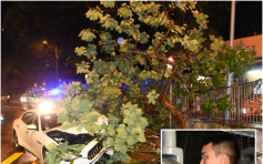 【多圖】馬莎拉蒂大坑道撞樹 18歲P牌司機涉醉駕