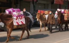 陕西有马匹运送抗疫物资引质疑 官方：马帮自发筹集捐赠