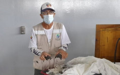 厄瓜多爾警員涉走私185隻稀有龜BB被捕 一經定罪可判監3年