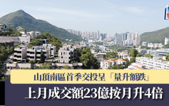 山顶南区首季交投呈「量升额跌」 上月成交额23亿按月升4倍