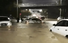 浙江嘉善暴雨破纪录致严重水灾 大量汽车淹水居民家变泳池