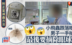 厕所黑色蛾蚋︱深圳男随手拍死   点解最终无咗只眼？