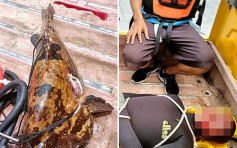 人魚雙雙身亡｜菲律賓漁夫開心捕獲大石斑 未料遭拖入湖溺斃