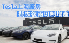 零件短缺減緩 傳Tesla上海工廠擬恢復兩班制增產