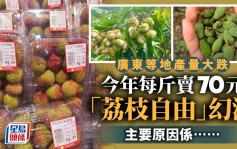 去年每斤5元今年70元︱广东荔枝产量大跌价格疯涨   网友哭「今年荔枝自由没了」