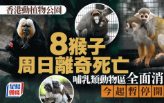 香港動植物公園8猴子死亡 哺乳類動物區暫停開放全面消毒