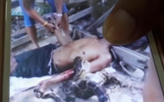 泰国男子活捉6米巨蟒把玩 反遭勒死
