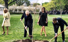法媒：特朗普马克龙携手种植「友谊之树」已死
