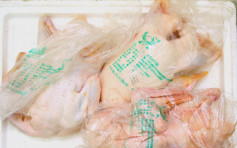 灣仔糧食店砧板環境樣本驗出 H5N6禽流感病毒