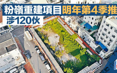 粉岭重建项目明年第4季推 涉120伙