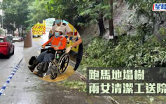颱風小犬 ｜跑馬地塌樹  兩女清潔工被擊中送院