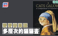 陳東紅 - 多層次的貓貓書｜芽芽學英語