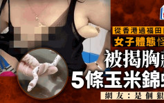 皇崗海關發現「美女蛇」︱女子從香港用絲襪裝5條玉米錦蛇藏胸部闖關