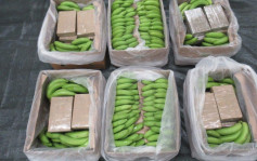 英缉获最大批可卡因  香蕉箱藏毒黑市价逾44亿