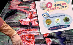 食安中心FB發文 提醒市民勿進食淡水魚魚生