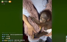 南京動物園疫下關閉缺錢 動物直播賣萌開放助養籌款救園