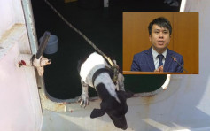 泰国狗误闯货船来港被处决 万人联署促渔护署道歉