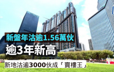 新盤年沽逾1.56萬伙 逾3年新高  新地沽逾3000伙成「賣樓王」