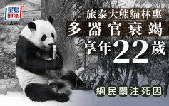 官方公布 旅泰大熊猫林惠死于多器官衰竭