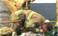 加州消防嘴對嘴人工呼吸　救西施犬一命