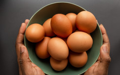 【健康talk】啡蛋定白蛋好？食安中心拆解蛋殼顏色與營養價值之謎