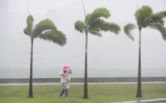 「盧碧」及西南季候風影響 天文台：間中有強風及大雨